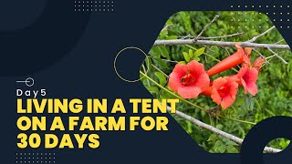 Living in a Tent on a Blueberry Farm for 30-Days. Day 5. Old Building Tour.