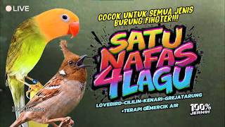 Download lagu LIVE 24 JAM !! MASTERAN SPEED RAPAT TEMBAKAN SAMBUNGAN UNTUK SEMUA JENIS BURUNG FIGHTER!! mp3 Download lagu LIVE 24 JAM !! MASTERAN SPEED RAPAT TEMBAKAN SAMBUNGAN UNTUK SEMUA JENIS BURUNG FIGHTER!! mp3