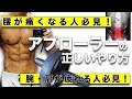 【筋トレ】アブローラーの正しいやり方【腹筋】