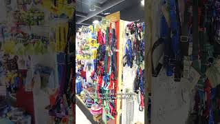 Thumbnail for Open For Business: Shooting Star Services