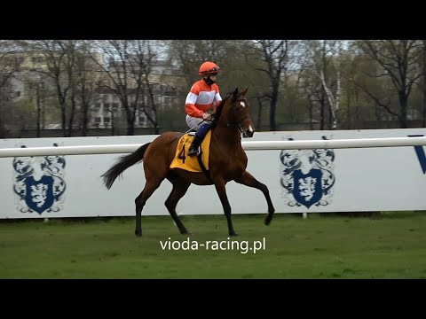 Gon. V (N. Strzegomia) - 2.05.2021 - Anator (Motivator - Anayasa)