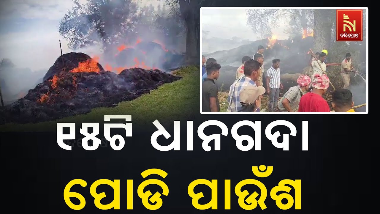 ଗଞ୍ଜାମ ପୋଲସରା ବାଲିଛାଇ ଗାଁରେ ଭୟଙ୍କର ଅଗ୍ନିକାଣ୍ଡ । ୧୫ ଟ