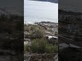 Landslide In Forest