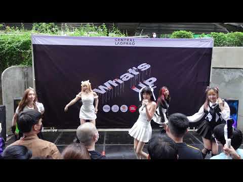 C0264 CMJ Trainee - " Neko Dorei "   Aidoru Matsuri -「アイドル祭り」@ Central Ladprao