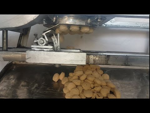 Dough Ball Peda Making Machine