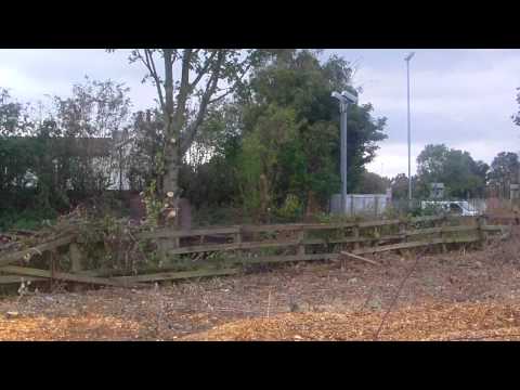 DB 66070 passes Northallerton low level with empty steel flats and 1 tone
