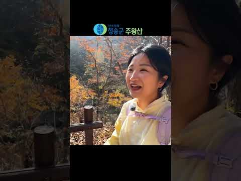 왜 다들 가을엔 주왕산 간다는지… 와보니 알았다 @지.똥