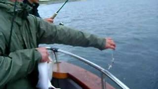 Galway Fishing. Thornback Ray fishing with Max Couque in Galway Bay,  Deep sea fishing Ireland