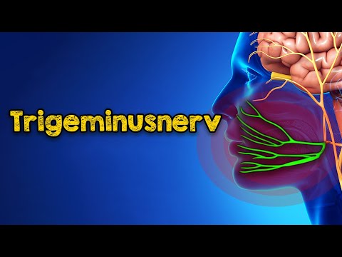 Trigeminusnerv: Wo er ist, warum er schmerzt und wie man die Schmerzen endgültig beenden kann