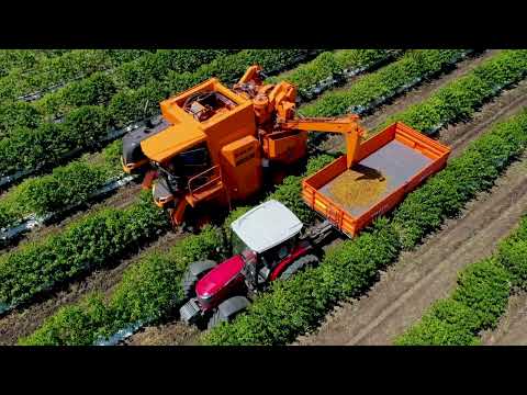 H.E. Prime Minister Dr. Abiy Ahmed Ali at our Gelana Gesha Coffee Farm