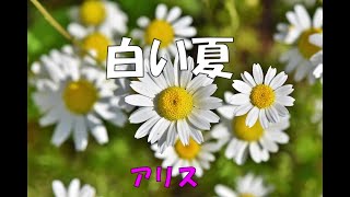 白い夏　　　アリス・矢沢透