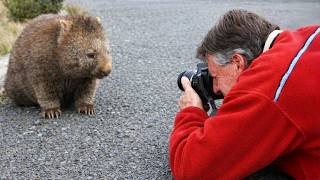 When Animals Surprised Photographers for the First Time Ever! 😂