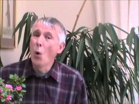 Duke of Marlborough - Lord Marlborough, a son of Devon