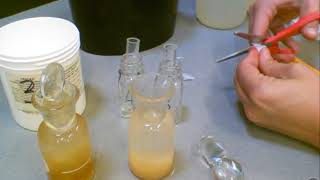 Dissolved Oxygen