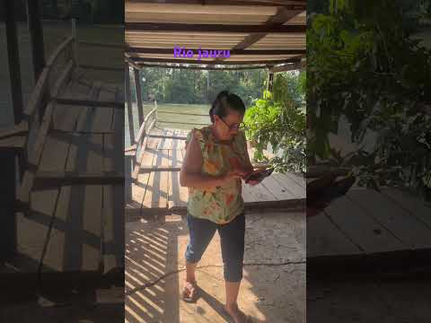 Rio jauru Mato Grosso Araputanga