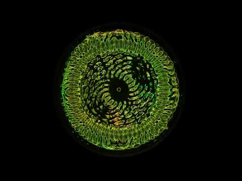 153hz Water Cymatics