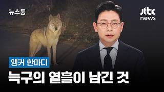[앵커 한마디] 늑구의 열흘이 남긴 것 / JTBC 뉴스룸
