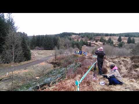 The Pirelli Rally 2015