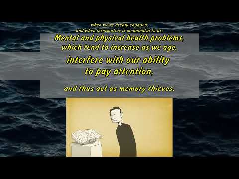 Catharine Young: How memories form and how we lose them