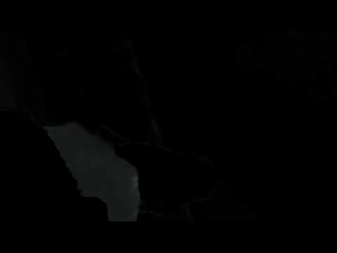 Gyro Mouse that CRUSHES all others.