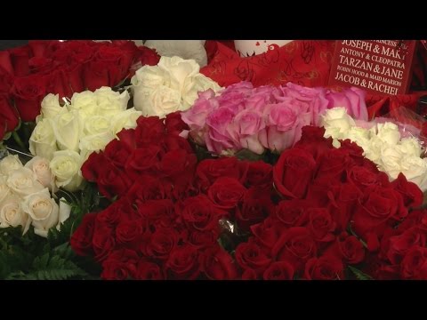 Great Choice For Flowers At Food City