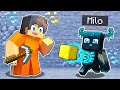 Playing as a HELPFUL WARDEN in Minecraft