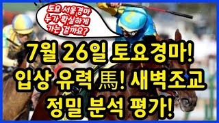 #7월26일 토요 서울경마! 새벽 조교 우수마 추천!!