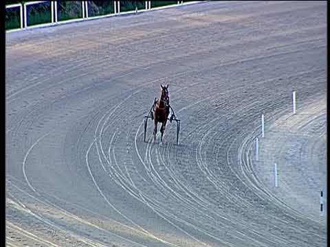 Trotto 13/10/2019 - prova di riqualifica