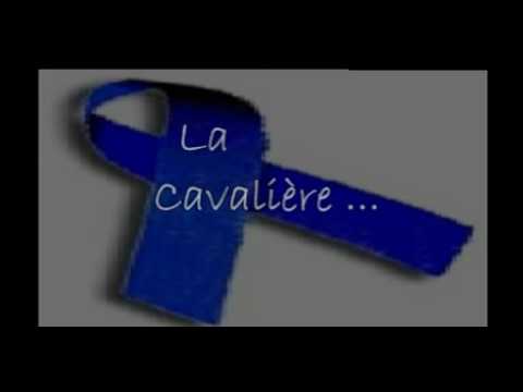 Damien DESSEINE- La Cavalière - Hymne de lutte contre la fibromyalgie - Desseine