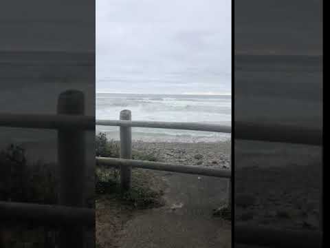 This was from our walk on the nature trail. Over by the campsites, there was beautiful soft sand, and this was just a rockier portion.