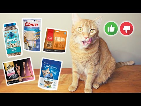 Top 5 Cat Treats: Which is the Best?