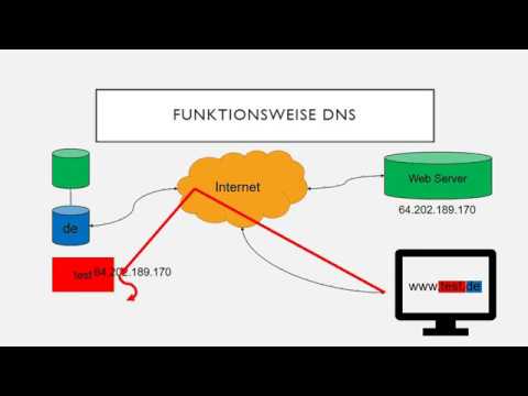 Domain Name System (DNS)