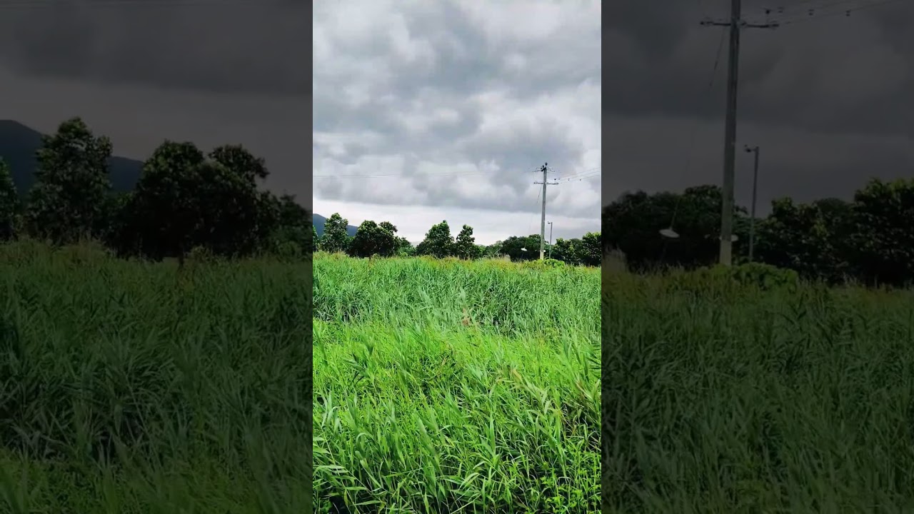 YouTube Short thumbnail