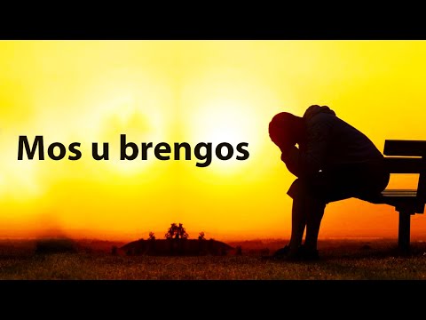 Mos u brengos se gjithcka eshte sipas caktimit te Allahut