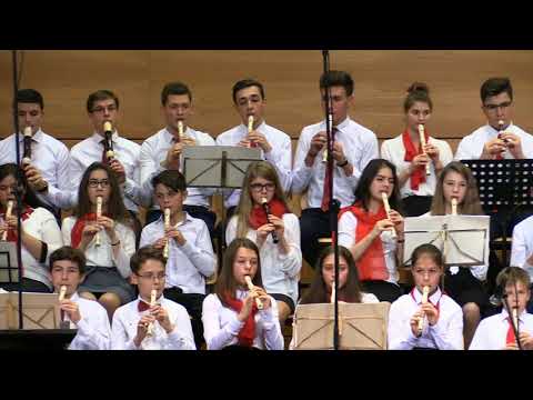 Orchestra Nationala de Blockflote