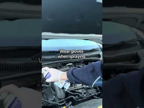 How to use Anti Rodent Spray #rats #rodents #cartips #carmaintenance #rodentcontrol