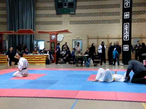 Campeonato Aragon 2010 Kyokushin KO