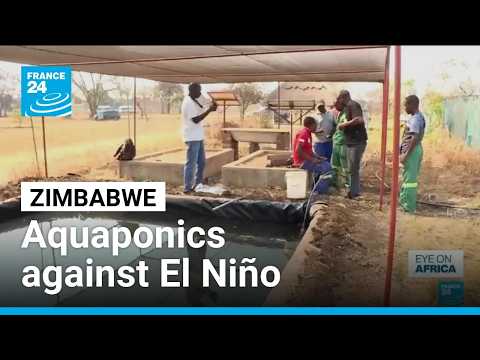 Zimbabwe farmers brace for El Niño by saving water