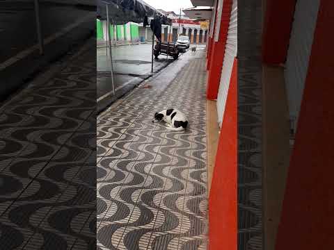 #viral #supermercado #caminhoparaumavidamelhor