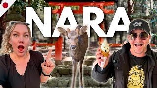 Nara Travel Guide 🇯🇵 Everything You Need To See