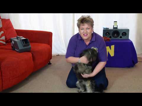 Jiggy Wrigglers with Sara at home - Ep2 - Whiteley, Locks Heath, Warsash and Sarisbury