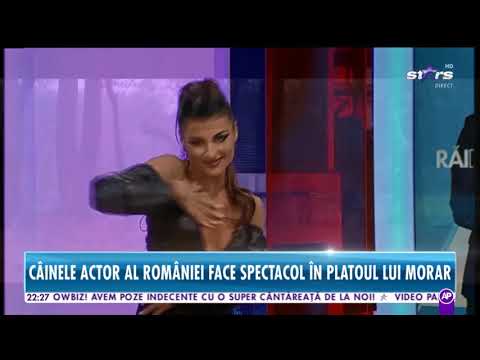 Mihai Nae feat Uddi la ,,Rai da buni,, ,,Ego,,