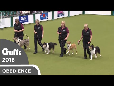 Obreedience - Smooth Operators | Crufts 2018