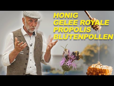 Die Heilwerte aus dem Bienenvolk – Honig, Gelee Royal, Propolis und Blütenpollen