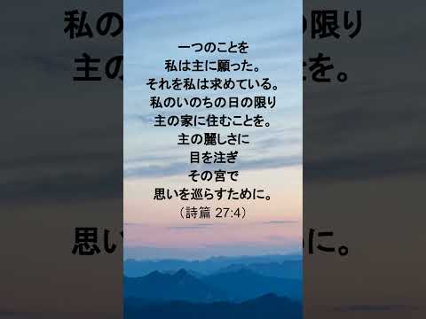 動画を再生