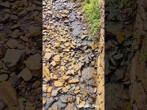 #naturephotography #waterfall @KarnatakaTvlive @coorg | Himali Raulji |