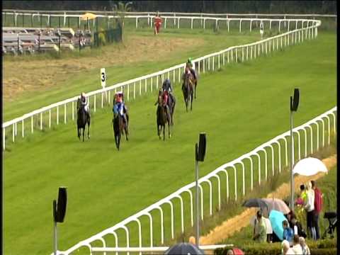 Galopprennbahn Dresden - 07.09.2014 - 4.Rennen