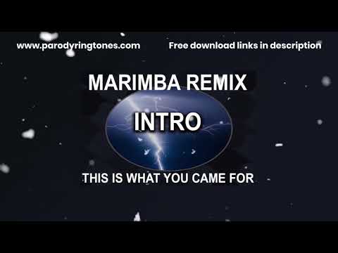 This is What You Came for (Intro Marimba Remix Ringtone)