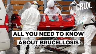Over 3,000 Test Positive for a Bacterial Infection in China Thats Leaving Men Infertile | DOWNLOAD THIS VIDEO IN MP3, M4A, WEBM, MP4, 3GP ETC