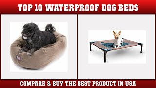 Top 10 Waterproof Dog Beds to buy in USA 2021 | Price & Revi